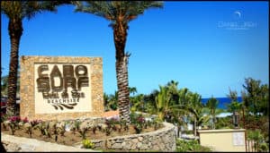 cabo san lucas family surf hotel